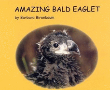 Amazing Bald Eaglet - Birenbaum, Barbara, and Savastio, Sharon A (Photographer), and Denome, Rick (Photographer)