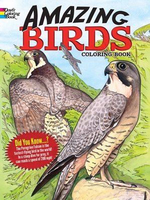 Amazing Birds Coloring Book - Soffer