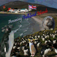 Amazing Falkland Islands