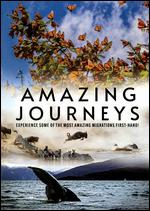 Amazing Journeys - George Casey