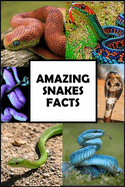 Amazing Snakes Facts: Fun Facts about Snakes Guaranteed to Blow Your Mind