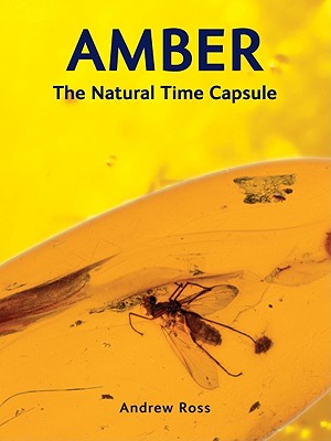 Amber: The Natural Time Capsule - Ross, Andrew