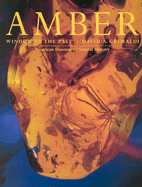 Amber: Window to the Past - Grimaldi, David A