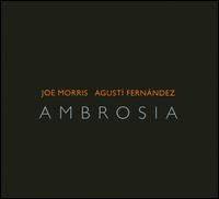 Ambrosia - Agust Fernndez/Joe Morris