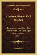 Ameisen, Bienen Und Wespen: Beobachtungen Uber Die Lebensweise Der Geselligen Hymenopteren (1883)