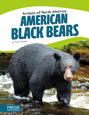 American Black Bears - Omoth, Tyler