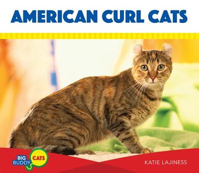 American Curl Cats - Lajiness, Katie