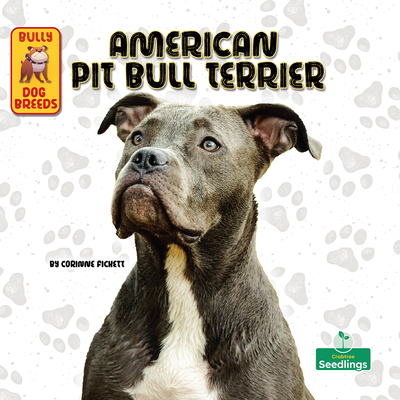 American Pit Bull Terrier - Fickett, Corinne