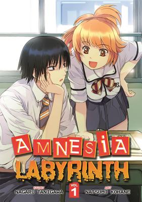 Amnesia Labyrinth, Volume 1 - Tanigawa, Nagaru