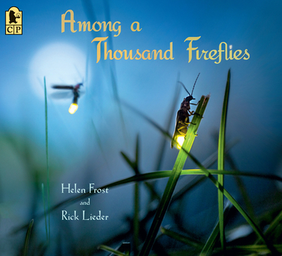 Among a Thousand Fireflies - Frost, Helen