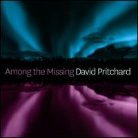 Among the Missing - David Pritchard