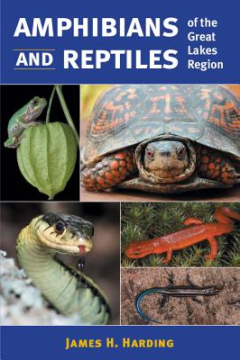 Amphibians and Reptiles of the Great Lakes Region - Harding, James H