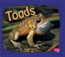 Amphibians Toads