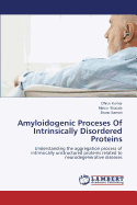 Amyloidogenic Proceses of Intrinsically Disordered Proteins