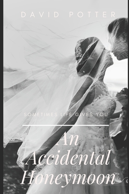 An Accidental Honeymoon - David Potter