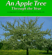 An Apple Tree Through the Year