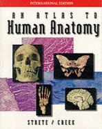 An Atlas To Human Anatomy by Strete/Creek - Strete, Dennis, and Creek, Christopher