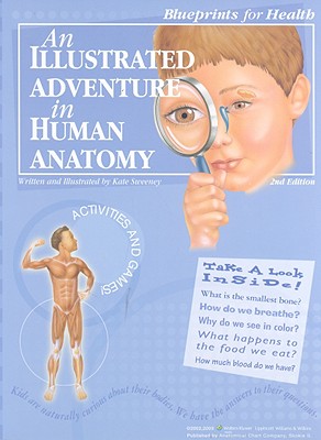 An Illustrated Adventure in Human Anatomy - Anatomical Chart Company