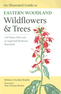 An Illustrated Guide to Eastern Woodland Wildflowers and Trees: 350 Plants Observed at Sugarloaf Mountain, Maryland - Choukas-Bradley, Melanie, Ms., and Center for American Places (Prepared for publication by)