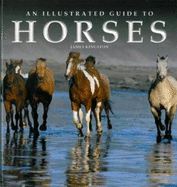 An Illustrated Guide to Horses