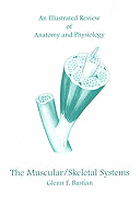 An Illustrated Review of Anatomy and Physiology: The Muscular/Skeletal Systems - Bastian, Glenn