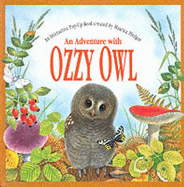 An Ozzy Owl: Interactive Pop-up Book