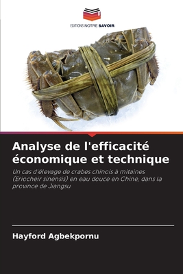 Analyse de l'efficacit? ?conomique et technique - Agbekpornu, Hayford