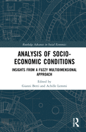 Analysis of Socio-Economic Conditions: Insights from a Fuzzy Multi-Dimensional Approach