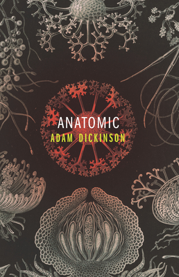 Anatomic - Dickinson, Adam