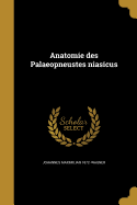 Anatomie Des Palaeopneustes Niasicus