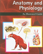 Anatomy and Physiology: An Illustrated Guide