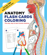 Anatomy Flash Cards Coloring