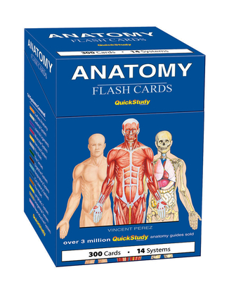 Anatomy Flash Cards - Drucker, Lisa (Editor), and Barcharts (Creator), and Hauer, Joe (Producer)