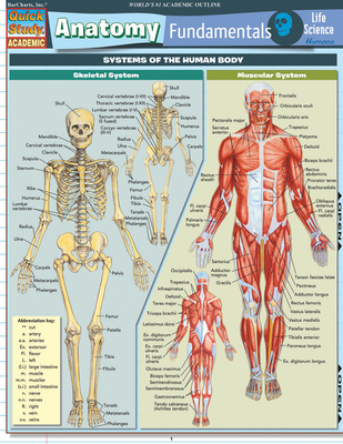 Anatomy Fundamentals: Life Science - BarCharts Inc