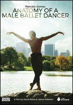 Anatomy of a Male Ballet Dancer