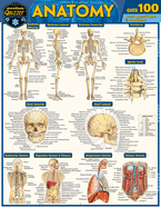 Anatomy Quizzer: A Quickstudy Laminated Reference Guide