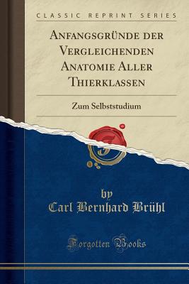 Anfangsgrunde Der Vergleichenden Anatomie Aller Thierklassen: Zum Selbststudium (Classic Reprint) - Bruhl, Carl Bernhard