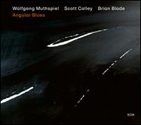 Angular Blues - Wolfgang Muthspiel/Scott Colley/Brian Blade