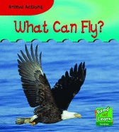 Animal Actions What Can Fly? - 