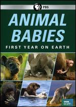 Animal Babies: First Year on Earth - James Hemming; John Gray; Peter Lown