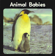 Animal Babies