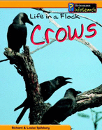 Animal Groups: Life in a Flock of Crows Paperback
