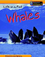 Animal Groups: Life in a Pod of Whales