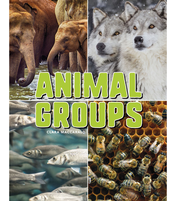 Animal Groups - Maccarald