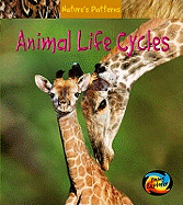 Animal Life Cycles