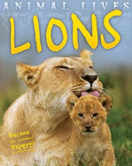 Animal Lives: Lions - Morgan, Sally