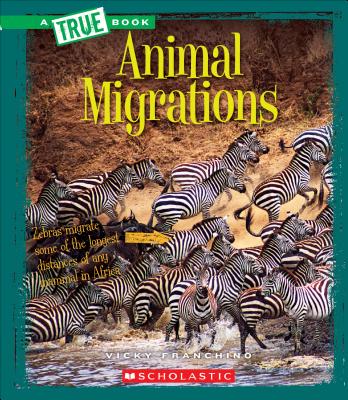 Animal Migrations - Franchino, Vicky