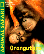 Animal Safari - Orangatans