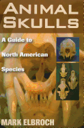 Animal Skulls: A Guide to North American Species