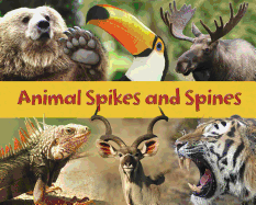 Animal Spikes and Spines